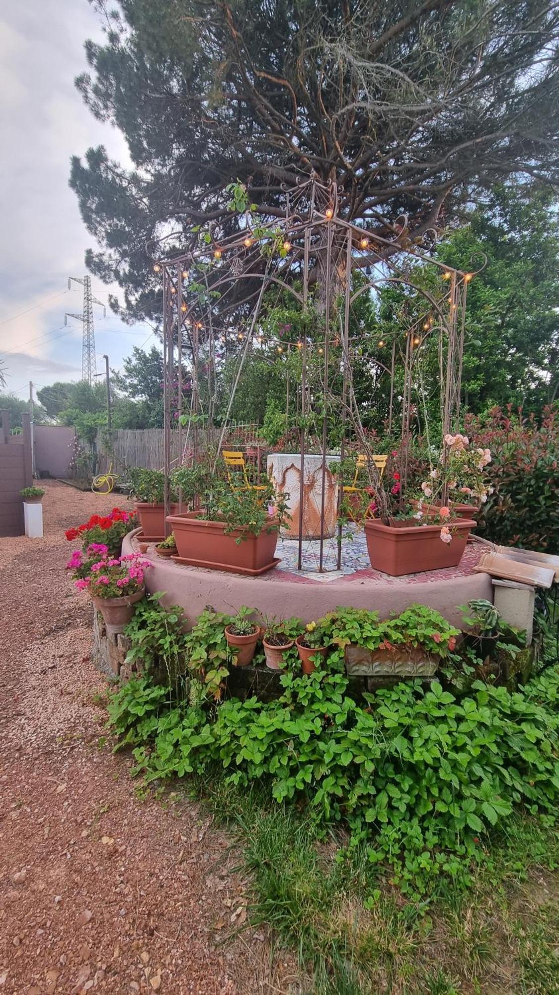 Appartamento Margherita Crespina Exterior photo